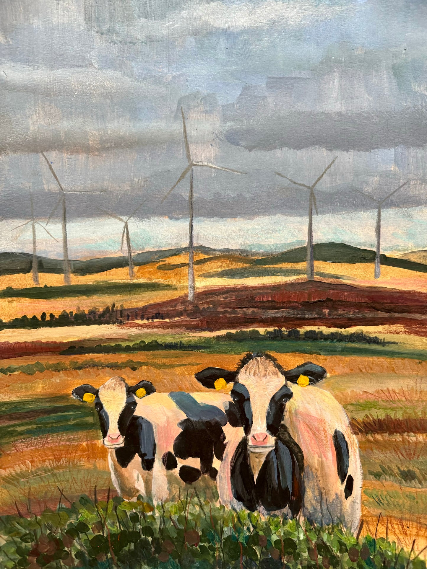Edge of the Field